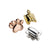 bytten Fitbit paw charms rose silver gold