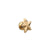 bytten apple watch star charm iwatch charms gold